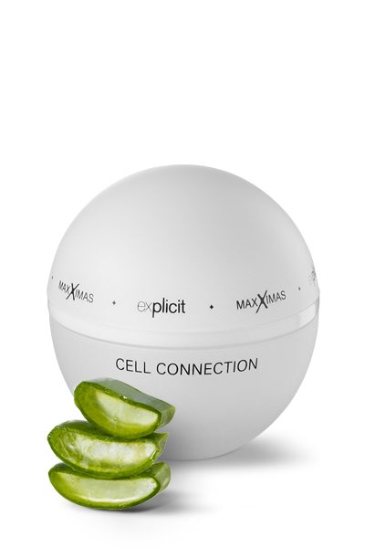 Cell Connection